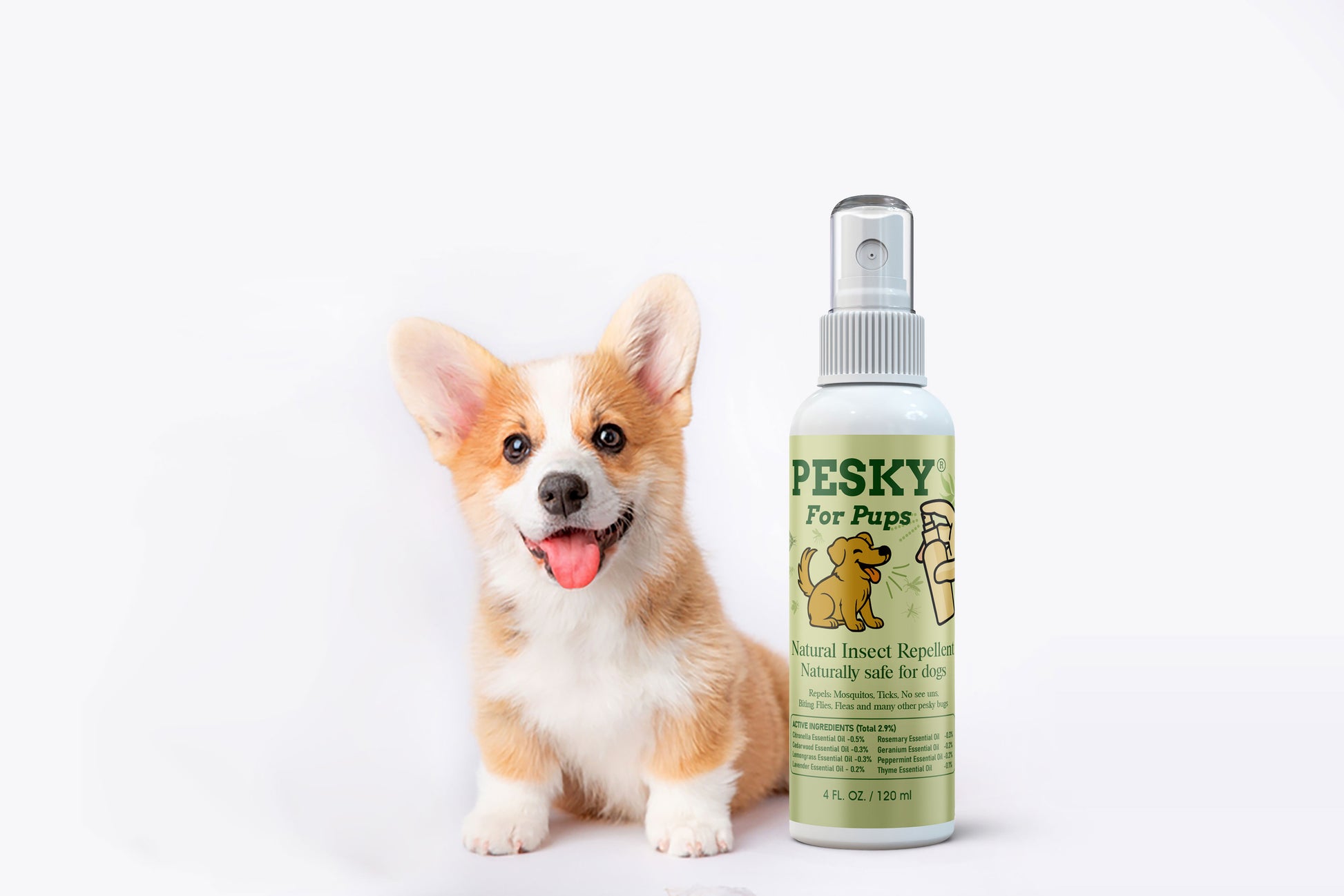 A corgi puppy sitting next to a spray bottle of 'PESKY for Pups' natural insect repellent for dogs.